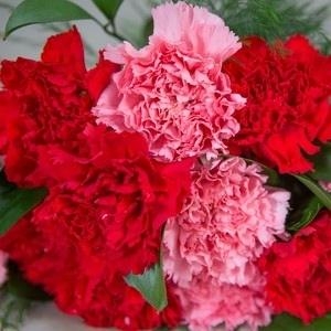 Delightful Love