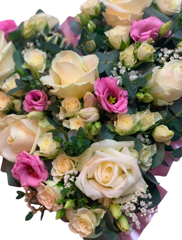 White Rose Loose Tribute with A of pink